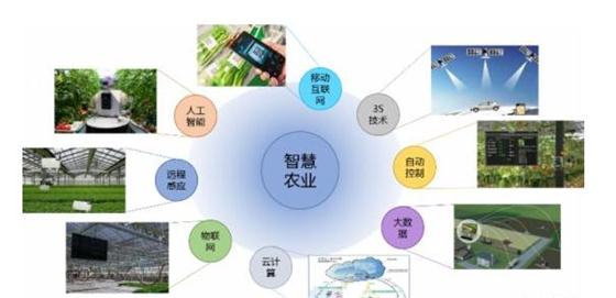 現代農業(yè)為何越來越離不開物聯(lián)網技術?